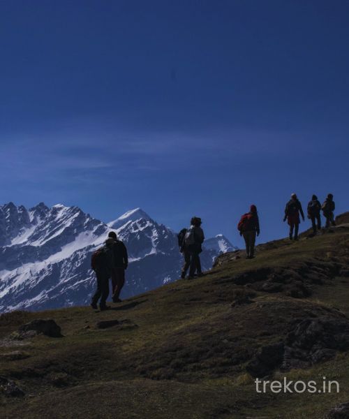 Auli Trek Package