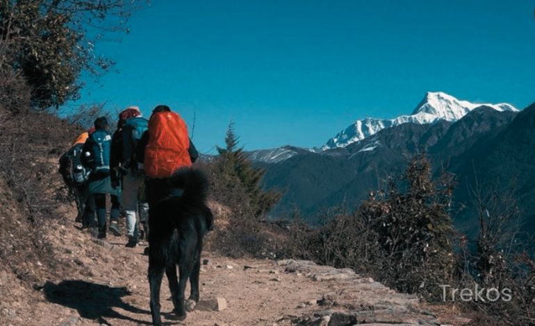 Dayara Bugyal Trek