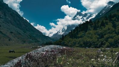 Har ki Dun Trek