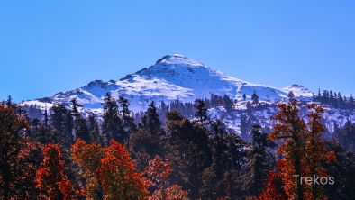 Kedarkantha Trek