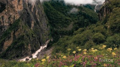 Valley of Flower trek