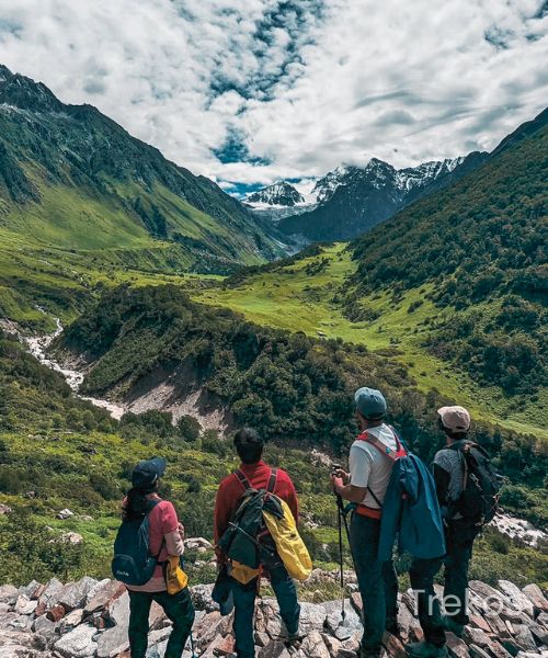 Valley Of Flowers Trek