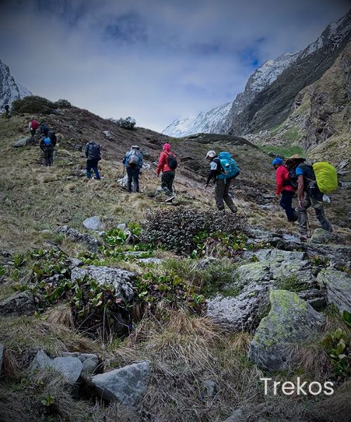 Bali Pass Trek