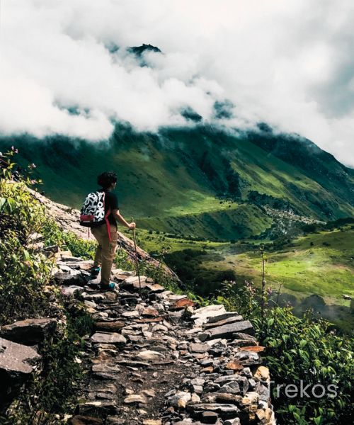 Trekos The Trek of Valley of Flowers