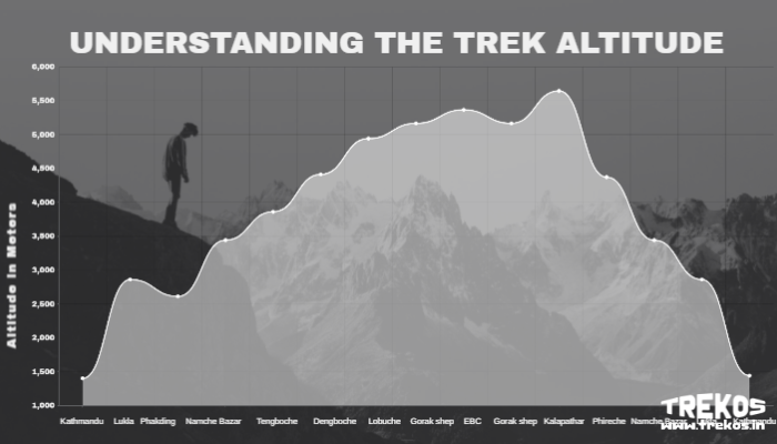 Understanding the Trek