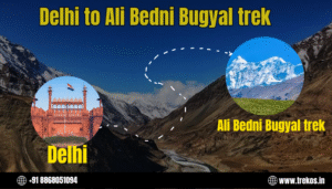 Delhi to Ali Bedni Bugyal trek