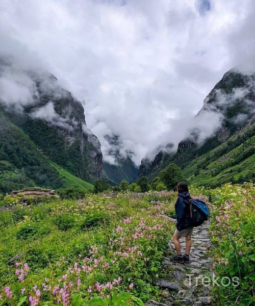 Valley of Flowers trek