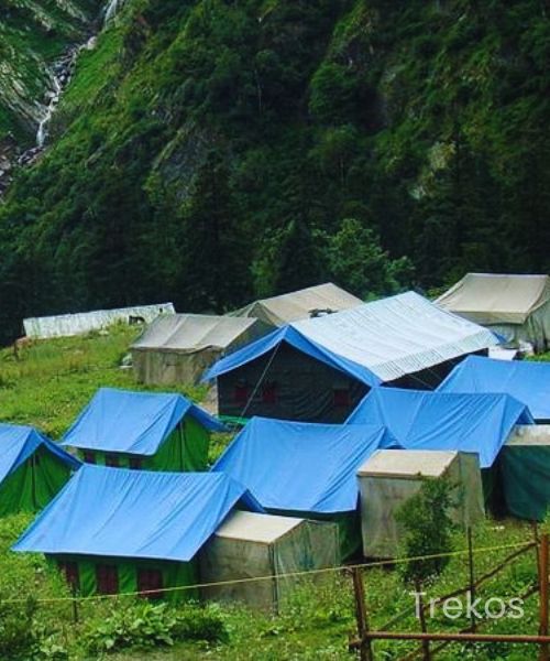 Valley Of Flowers Trek