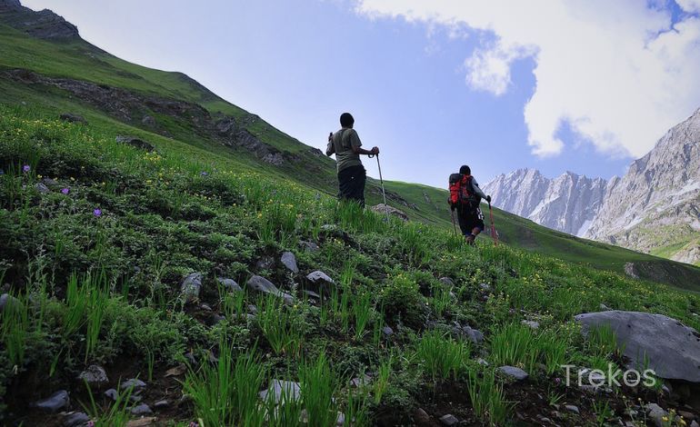 Valley of Flowers trek