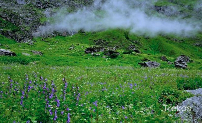 Valley of Flowers trek