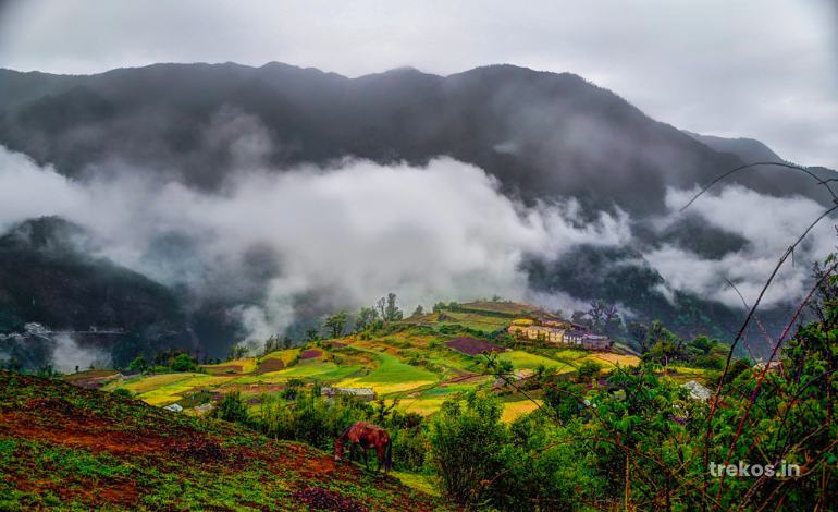 ali bedni bugyal valley