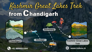 Kashmir Great Lakes trek to Chandigarh