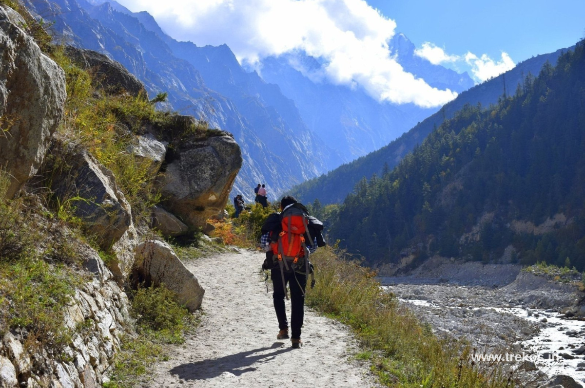 Chandigarh to Gaumukh tapovan trek