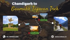 Chandigarh to Gaumukh tapovan trek