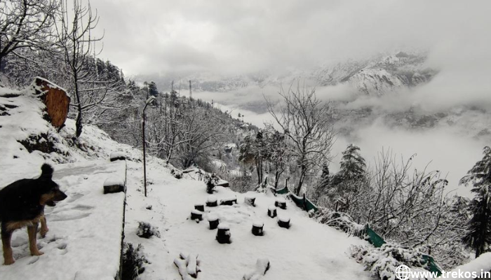 best cottage near pin parvati pass trek