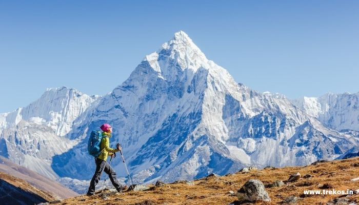 tamil nadu to pin parvati pass trek distance