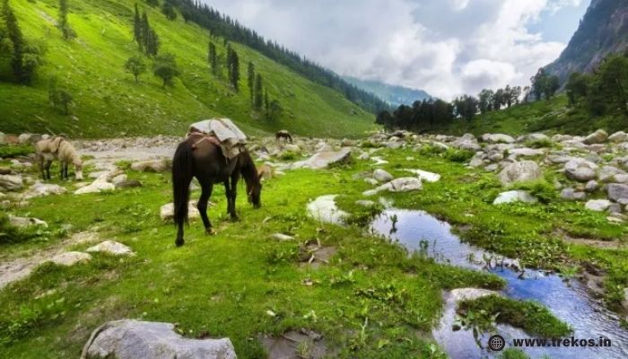 Ideal Period Lamkhaga Pass Trek