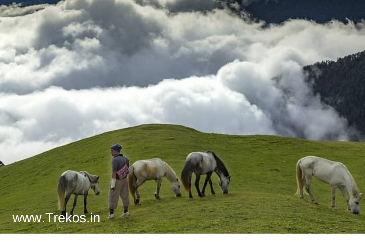 Haridwar to Ali Bedni bugyal trek Distance