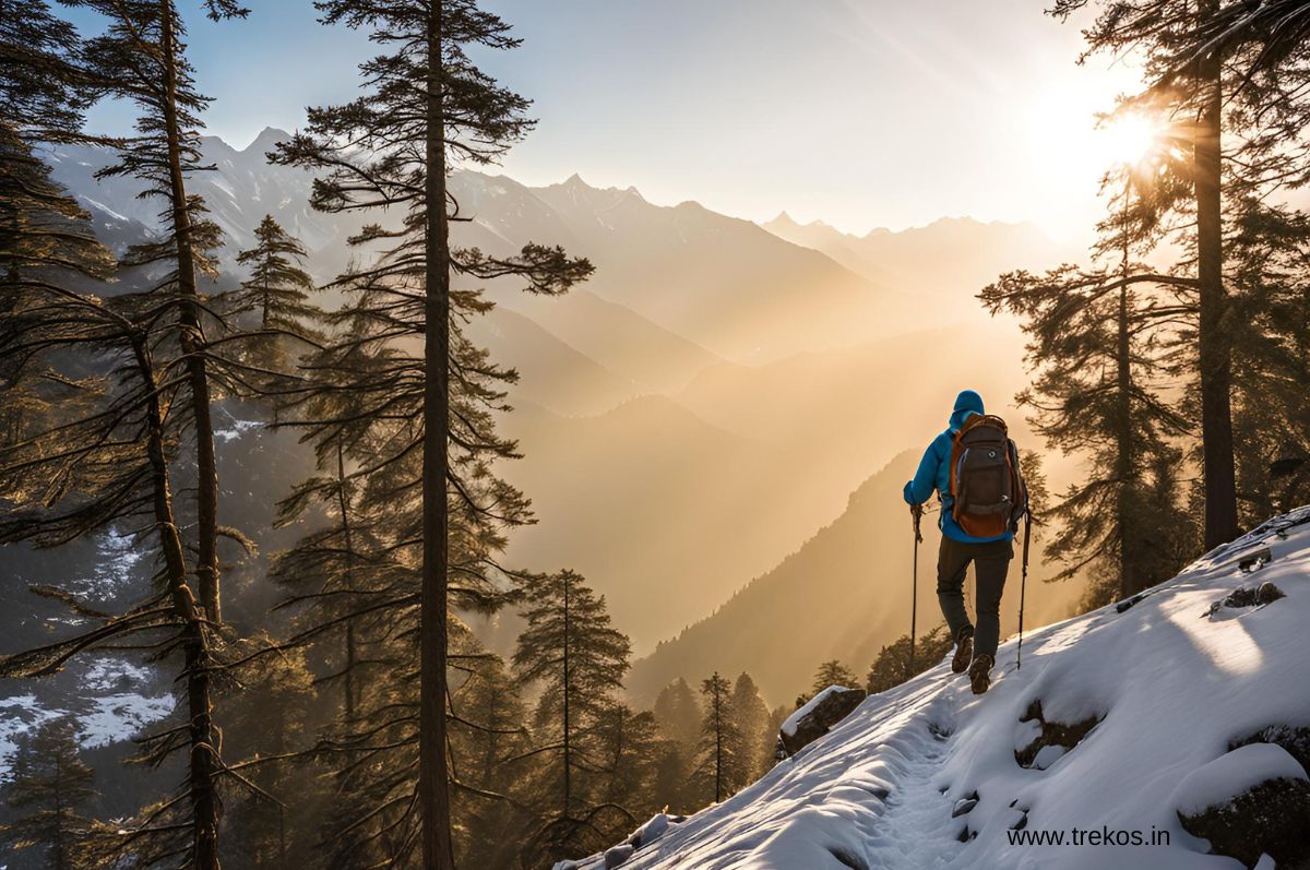 Hyderabad to Churdhar Trek distance