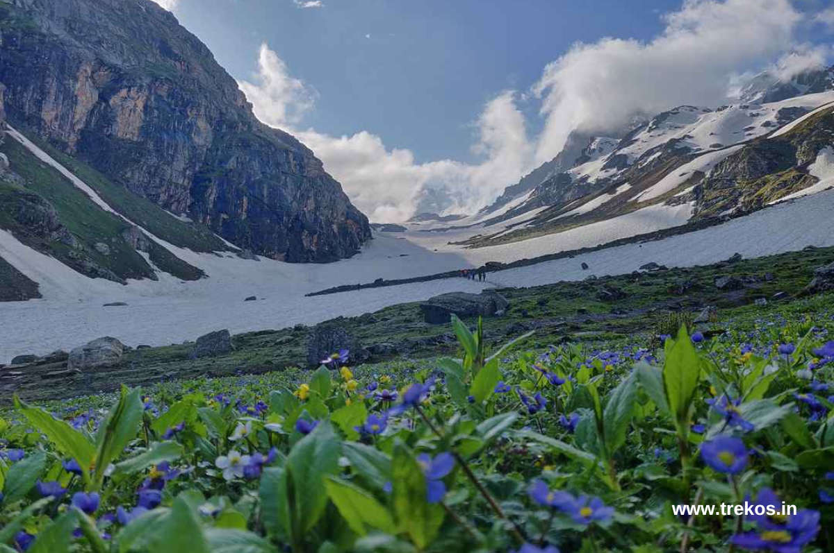 Tamilnadu to Hampta Pass trek