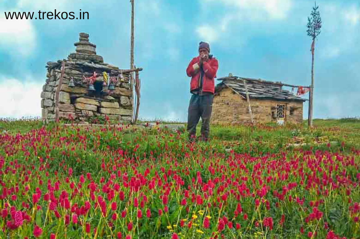 Hyderabad To Ali Bedni Bugyal Trek Distance