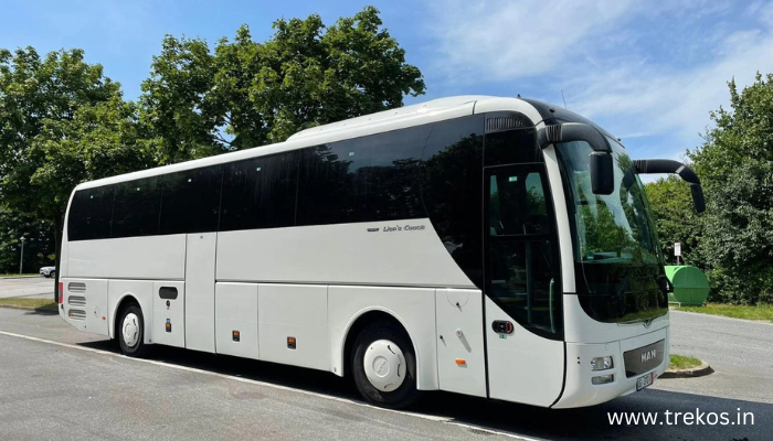 bus
