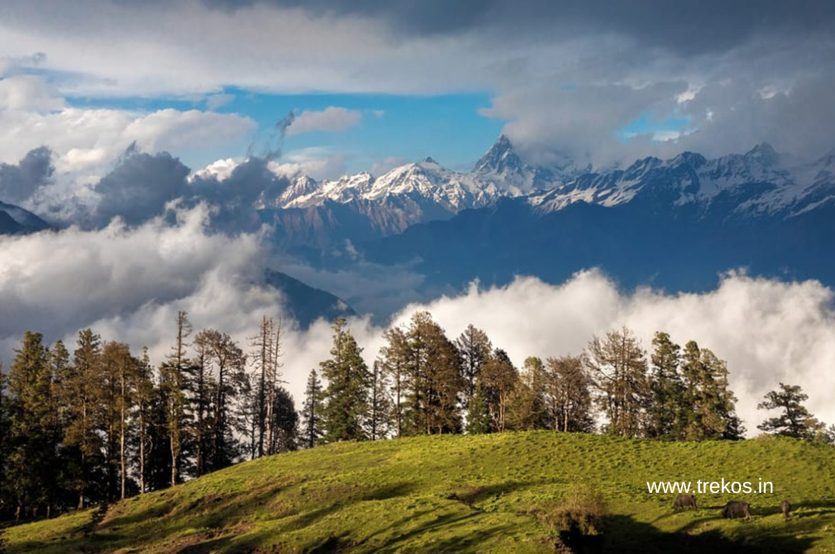 channei to dayara bugyal trek distance 