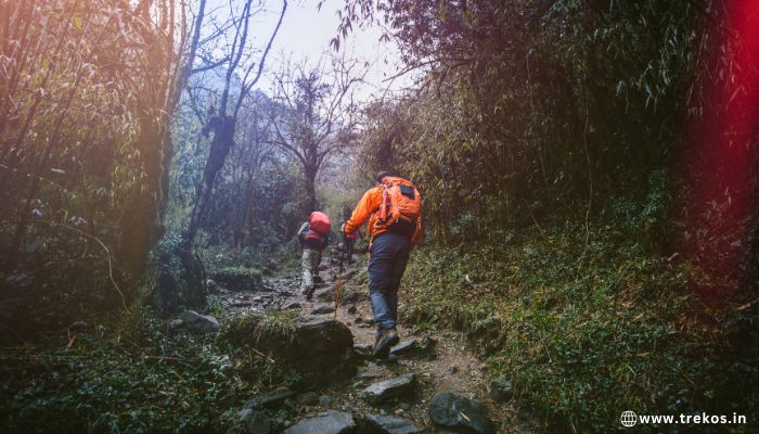 Delhi to Bali Pass Trek