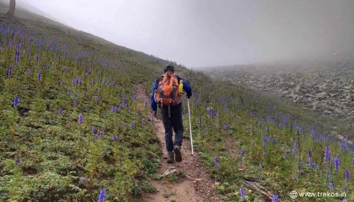 Karnataka to Bali Pass Trek