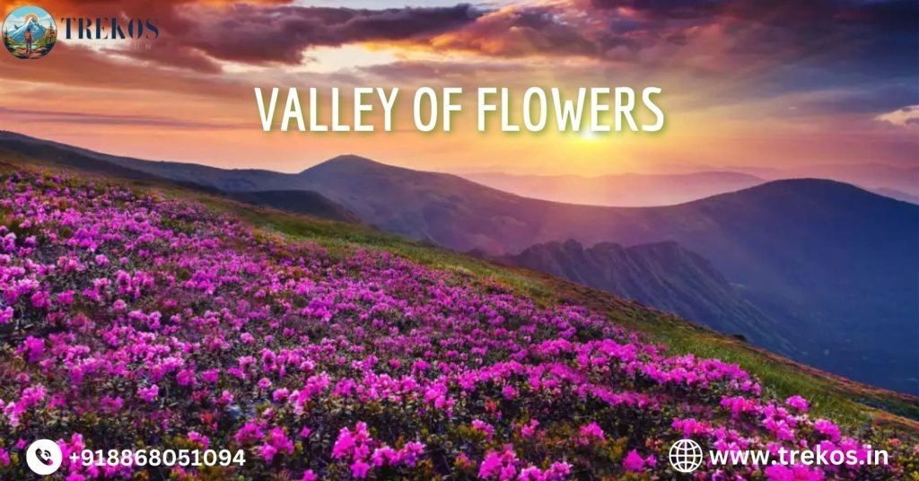 Valley of Flowers Trek