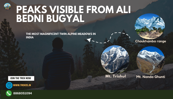 Top 3 peaks visible from the Ali bedni bugyal