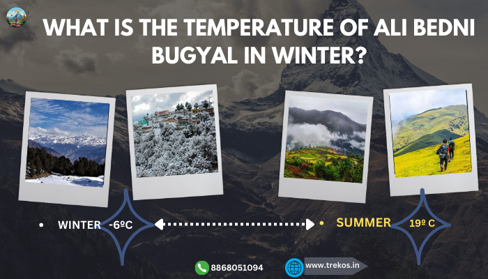 ali bedni bugyal winter temperature