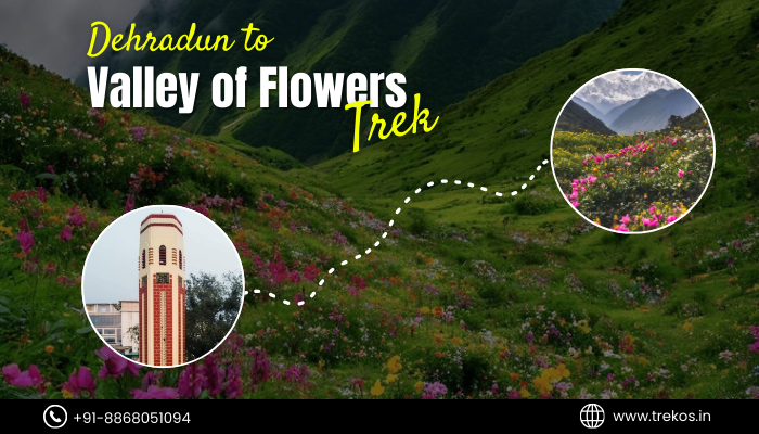 Dehradun to the Valley of Flowers trek