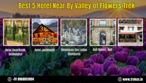 Best 5 Hotel Near By Valley of Flowers Trek
