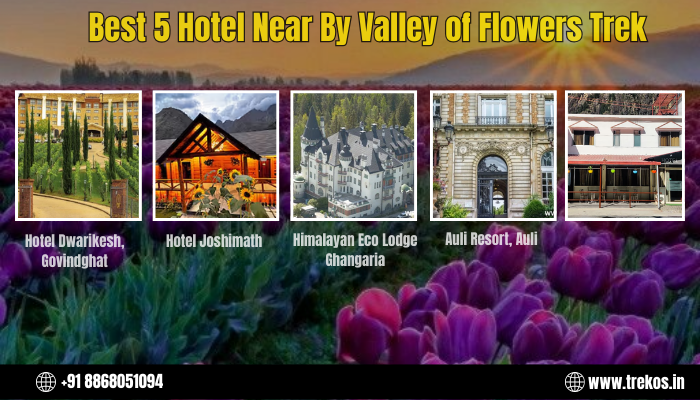 Best 5 Hotel Near By Valley of Flowers Trek