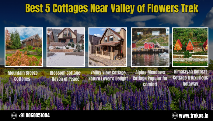 best 5 cottage near valley of flowers trek