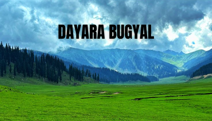 Dayara Bugyal Trek