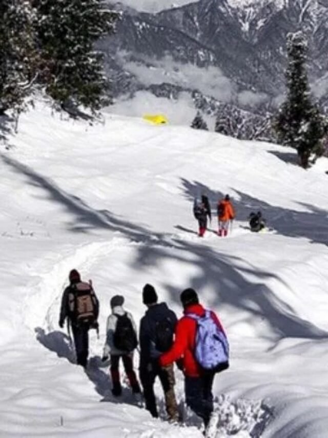 Kedarkantha Trek Guide: Essential Tips for a Safe Winter Summit