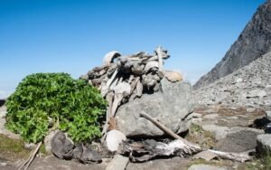 skeleton in roopkund lake